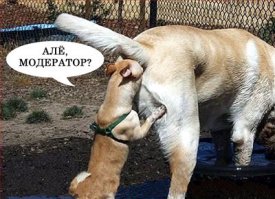 Примерно так)))