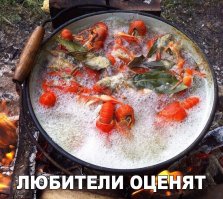 Не оценят. Раки как и креветки нельзя варить с лаврушкой. Вкус раков отбивает напрочь. Будут как бумага на вкус