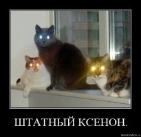 Картинки с надписями