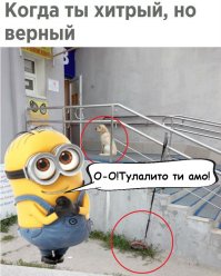 Пёс понравился)