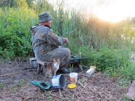 Как только рыбак тянул карасика, кот первым бросался к добыче...