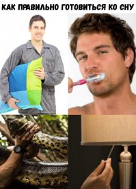 5-летний мальчик обнаружил в унитазе метрового питона