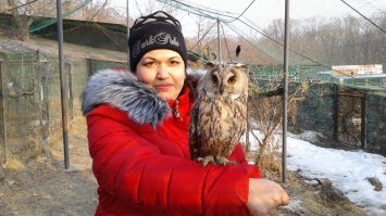 19 гипнотически красивых сов, пойманных в объектив фотографа