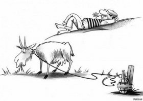 Воскресная подзарядка