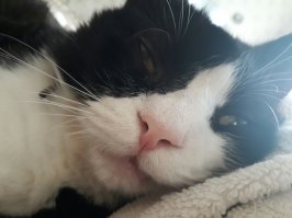 У нас тоже целая слезливая история.  Был-стал.