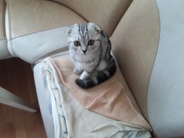 Ну и я свою наглую хулиганку поставлю).