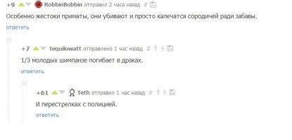 Смешные комментарии и высказывания из социальных сетей