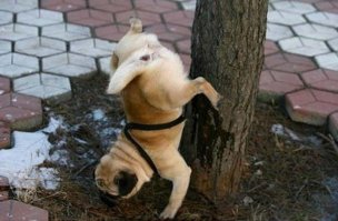 Ну какой же это фейл? Это чудеса эквилибристики!