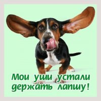 клевая история, главное обручалки отправить с перевозчиком и все деньги погрузить...