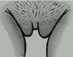 Я не знаю, о чем вы подумали, но не мешайте Бэтману радоваться салюту!