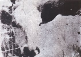 Что нарисовано на рисунке? Сначала будите видеть черно-белые пятна, а когда увидите картинку.... больше никогда не сможете увидеть черно-белые пятна....