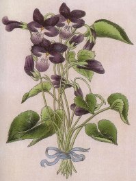 Найдите три лица...