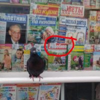 Интересно, а киоскеры хоть смотрят, что получается, когда ценники клеят? 
Только в этой подборке: