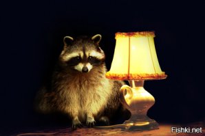 Кота сегодня не будет. Он ах@ел от восхитительных историй.