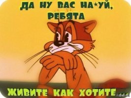 И почему они такие идиотки?