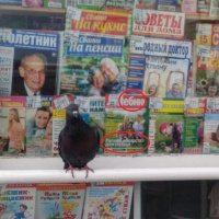 Вот почему печатные СМИ вымирают