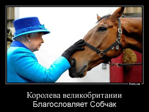 Ксения Собчак скоро объявит о решении участвовать в выборах президента в 2018 году	