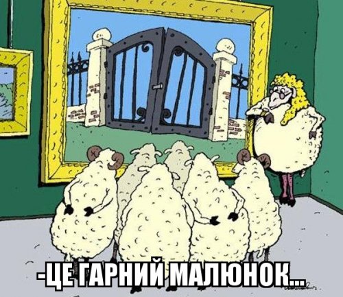 «Восстание» в Херсоне: школьный отказ от «мовы» - политическая пощечина Киеву