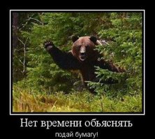 5 способов взвесить кота