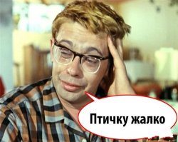 Спасение собак от урагана «Харви»