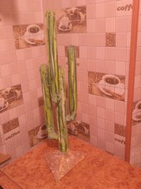 Вот эта экибана ( кактус из картона, тоже сам делал ). Да и ребёнок не такой уж маленький (12 лет). А в доме есть 2 кота и маленькая собачка, но коты ни разу там не были замечены...