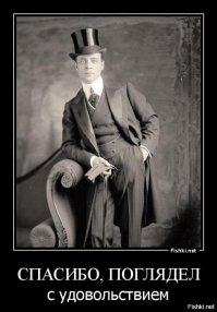 Знакомьтесь, самая сердитая кошка в мире – Шамо