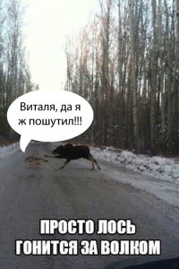 Очередная порция картинок с подписями