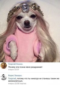 олеся подвыпила?
