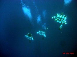 ну и контрольное изнасилование в голову. Дорасти  сначала чтоб право спорить получить