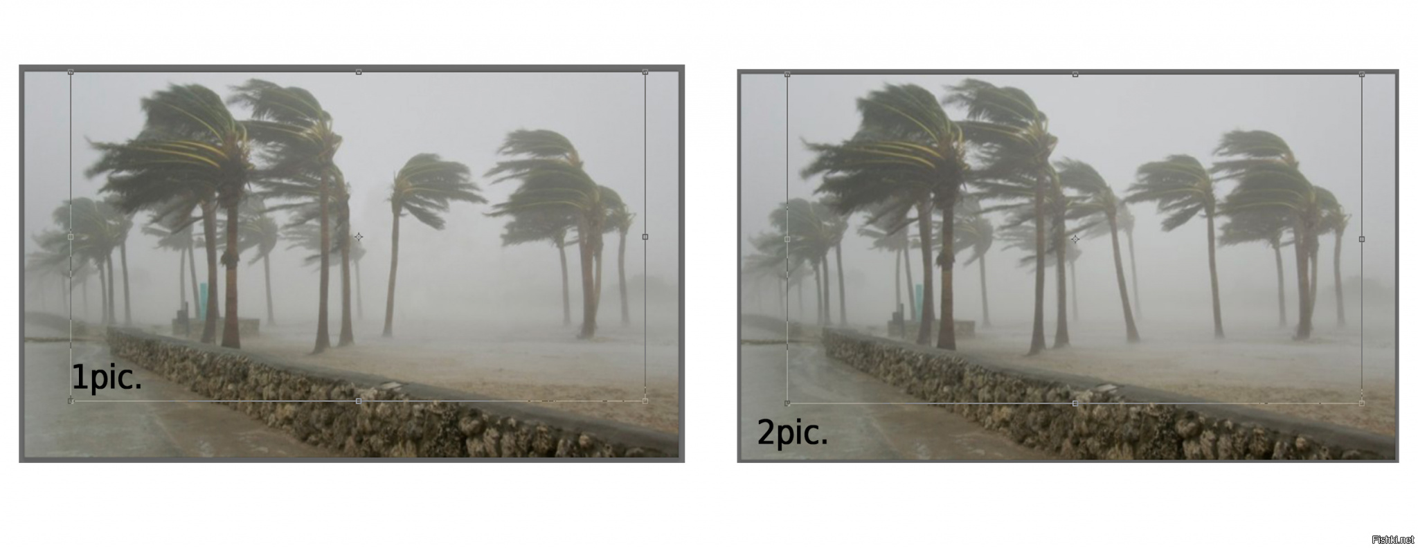 это меня смутило еще с утра!
"Ветку" мою затерли,держи в свою