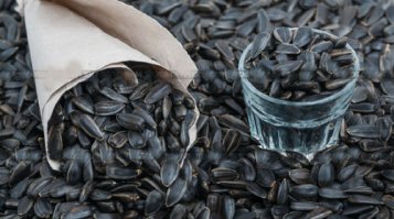 Вот самый важный продукт "выживальшика" :) Сидишь, смотришь как рушится мир, и никуда не спешишь... :)