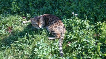 не удержался выложить нашего "гражданина")