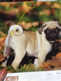 30 самых нелепых провалов фотошоперов