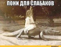 "Клетка смерти" — аттракцион с гигантскими крокодилами для истинных экстремалов