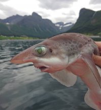 Природа - жуткая и пугающая: 25 шокирующих фото