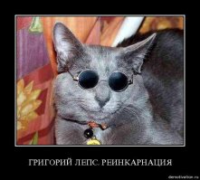 Животные - двойники знаменитостей