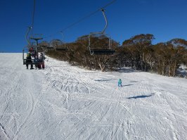 "К тому же зимой Австралия свободна от туристов"

Ага, на юго-западе, наверное их действительно нет зимой.

Вот фотки этой зимы в Австралии: