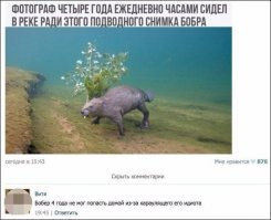 Зато с цветами идет...