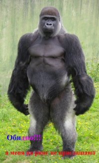 Вот так надо бить!