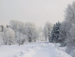 И чему завидовать? Вот правильная зима.