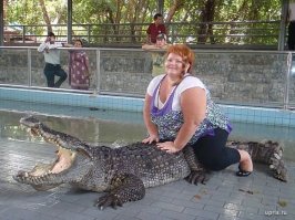 "Клетка смерти" — аттракцион с гигантскими крокодилами для истинных экстремалов
