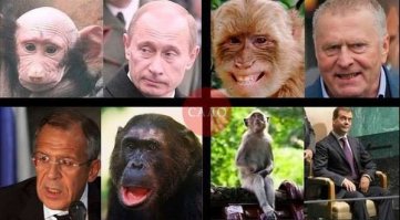 Животные - двойники знаменитостей