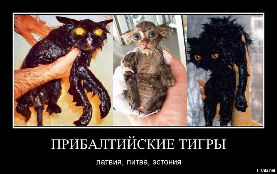 Ну вы знаете как правильно их назвать(про-е-балты)