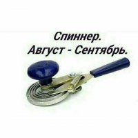 Смешные картинки с надписями