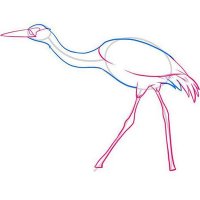 Высоко под небом синим клин несётся журавлиный