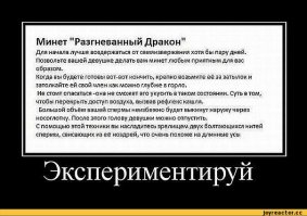 И почему они такие идиотки?