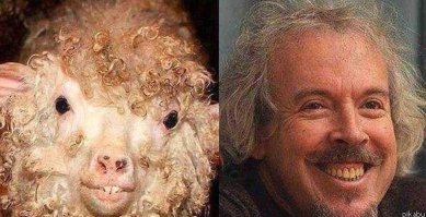 Животные - двойники знаменитостей