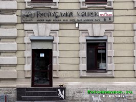 И у котиков есть своя республика