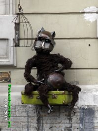 И у котиков есть своя республика
