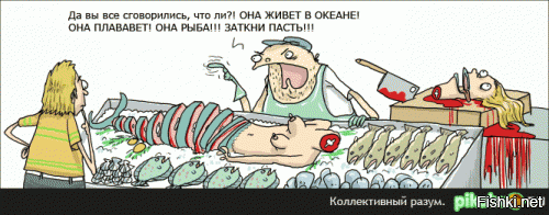 FISHKI на рыбалке